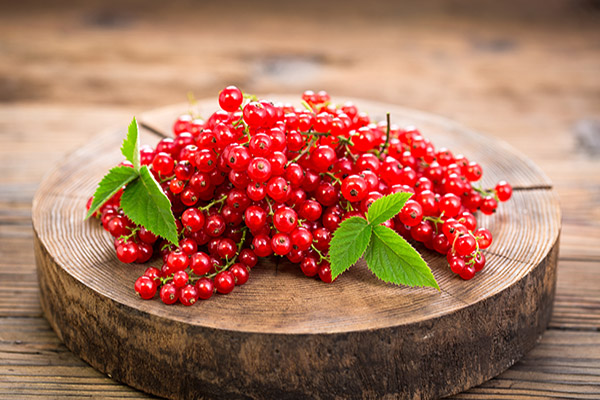 عکس میوه آلبالو
