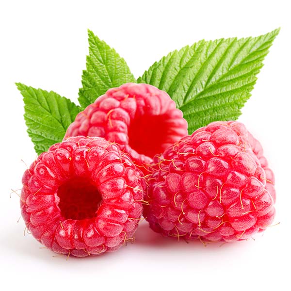عکس توت