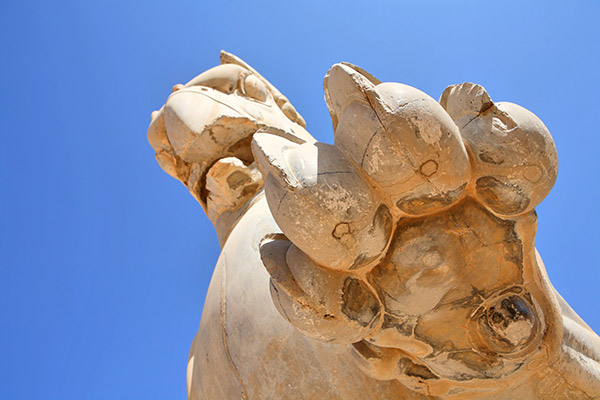 عکس سرستون دال تخت جمشید