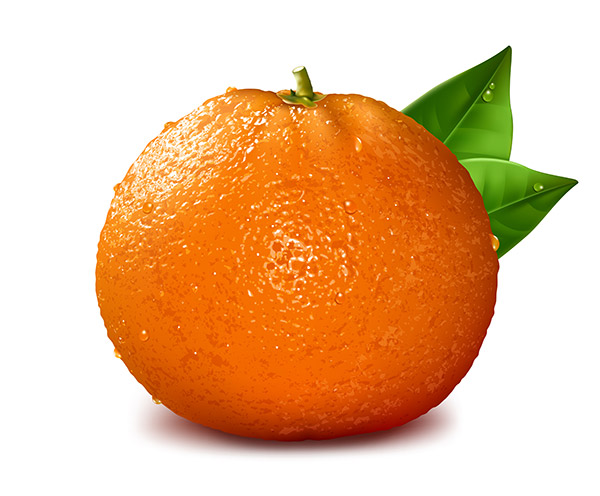 وکتور پرتقال