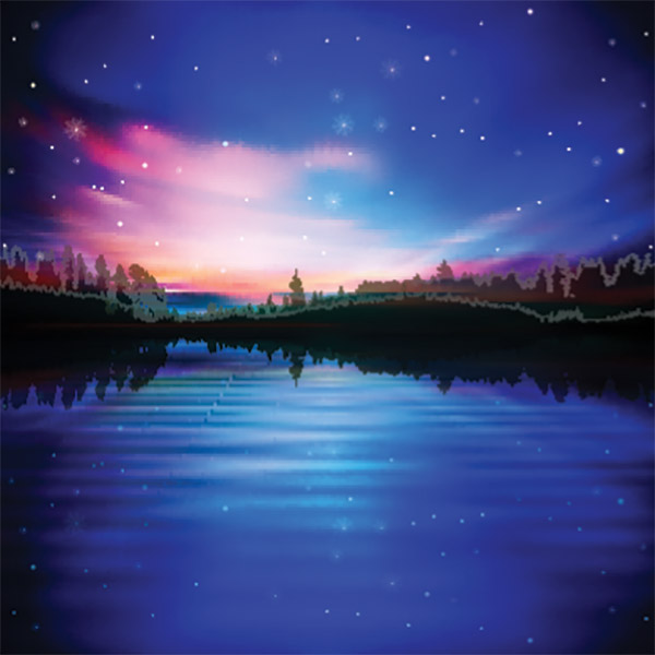 وکتور درختان و آب در شب