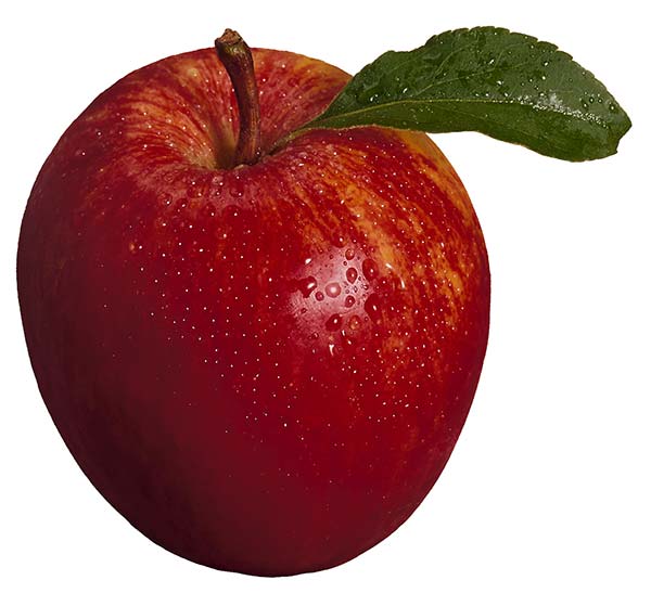 عکس میوه سیب