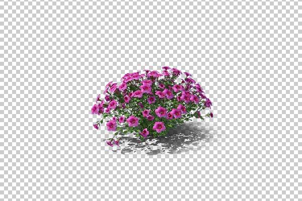 تصویر سه بعدی دوربری گل